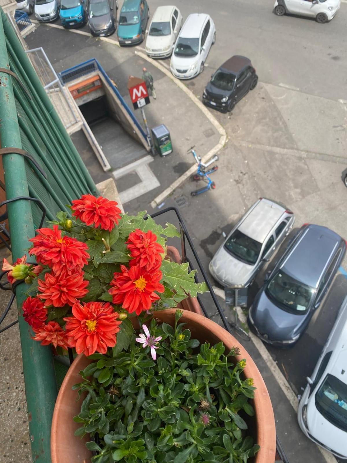 Myhomeinrome - Zona Re Di Appartamento Roma